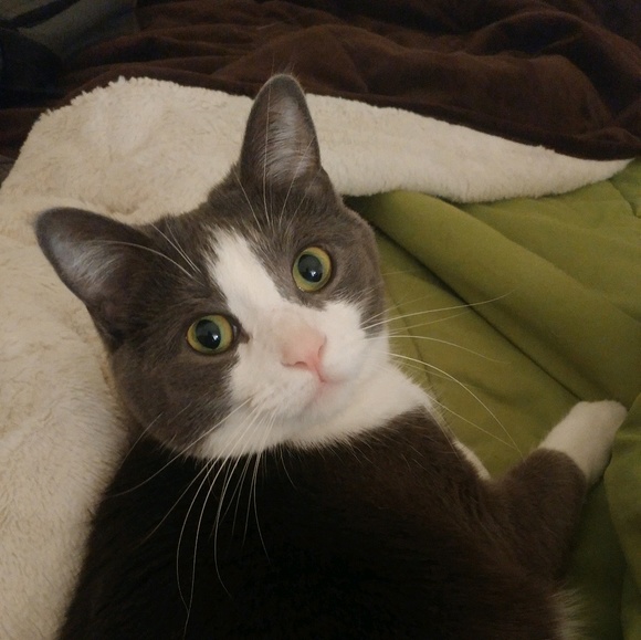 Meet your Posher, Shanell - Picture 1 of 1